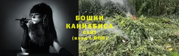 ГАЛЛЮЦИНОГЕННЫЕ ГРИБЫ Медногорск