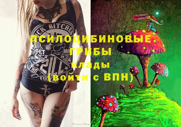 винт Ладушкин