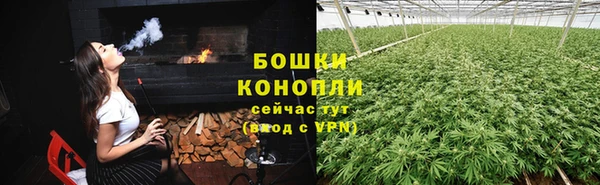 Альфа ПВП Мегион