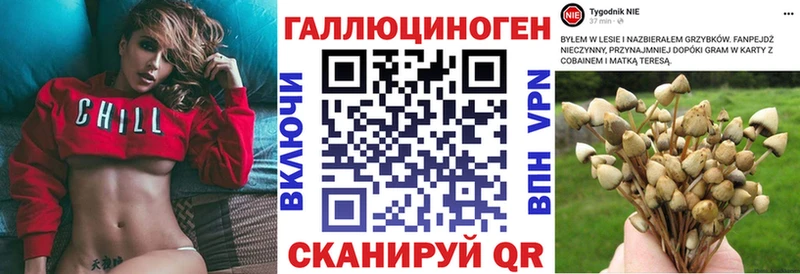 где купить наркоту Лермонтов Галлюциногенные грибы Magic Shrooms